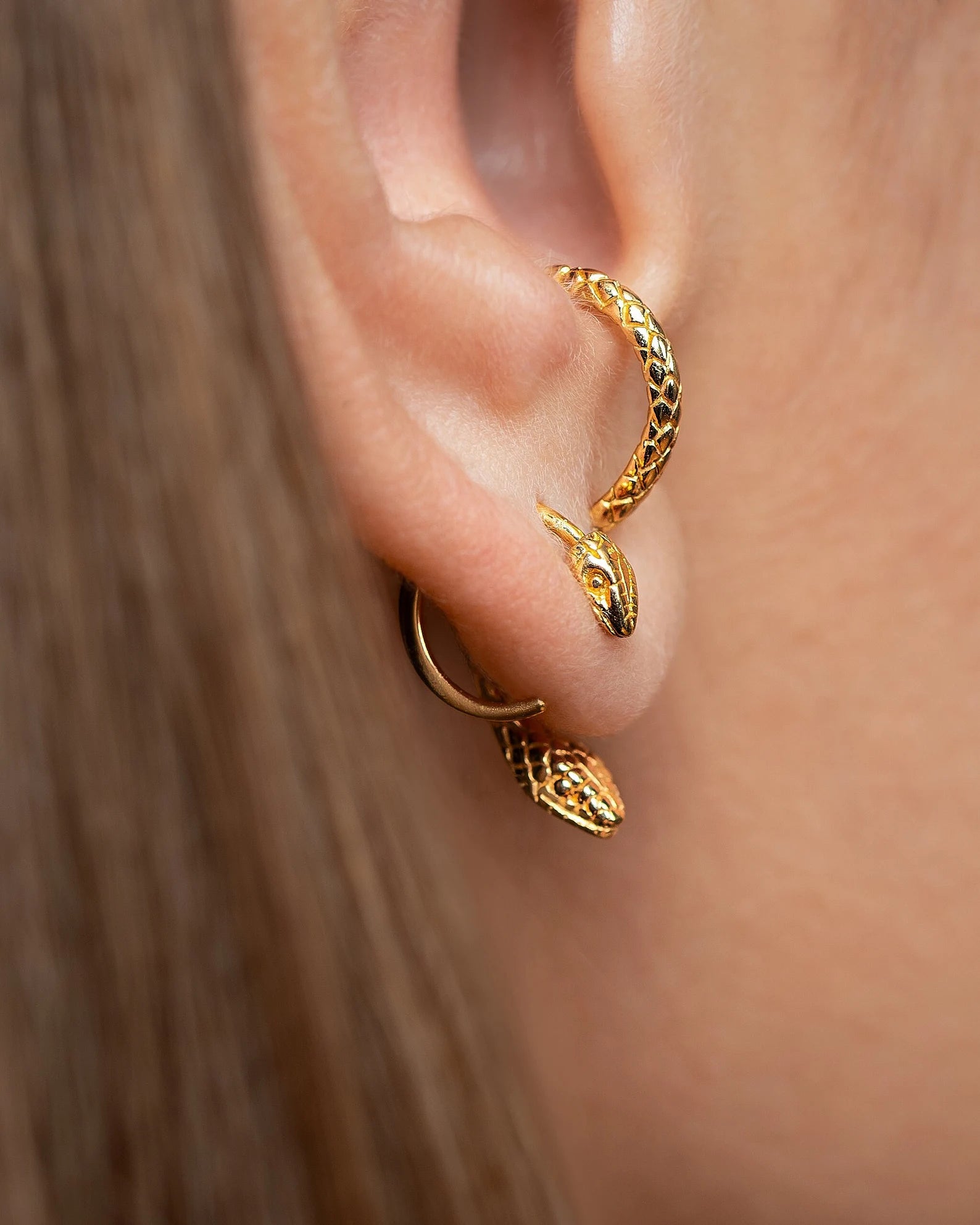 Gold Snake Hoop and Ear Jacket Set